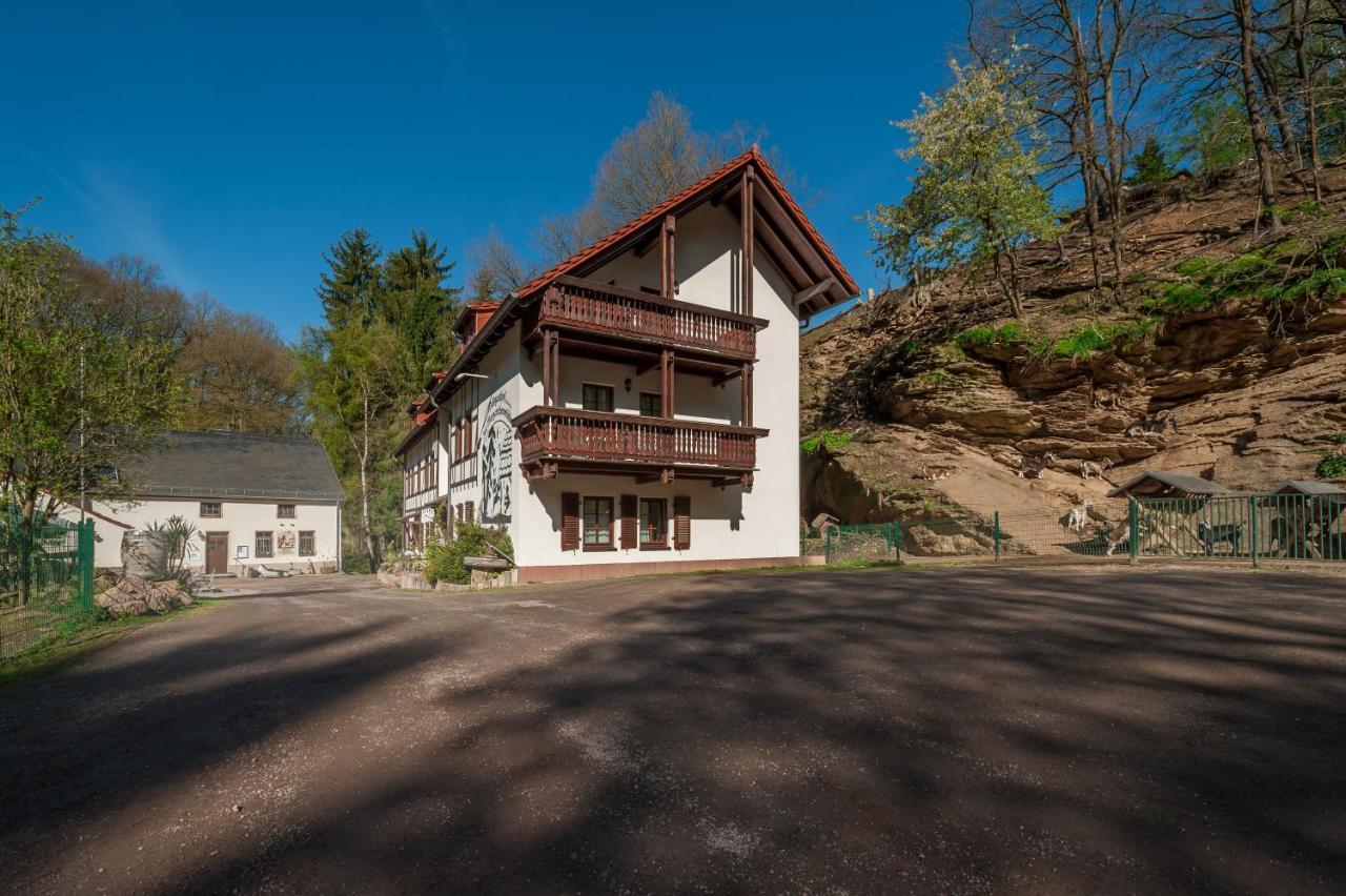 Zur Margarethenmuehle - Landgasthof Und Waldhotel Rosswein Buitenkant foto