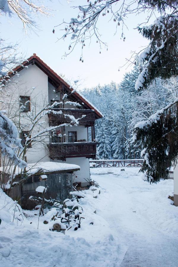 Zur Margarethenmuehle - Landgasthof Und Waldhotel Rosswein Buitenkant foto